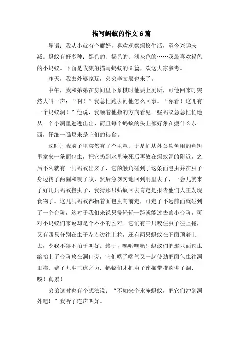 描写蚂蚁的作文6篇