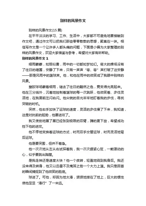 别样的风景作文