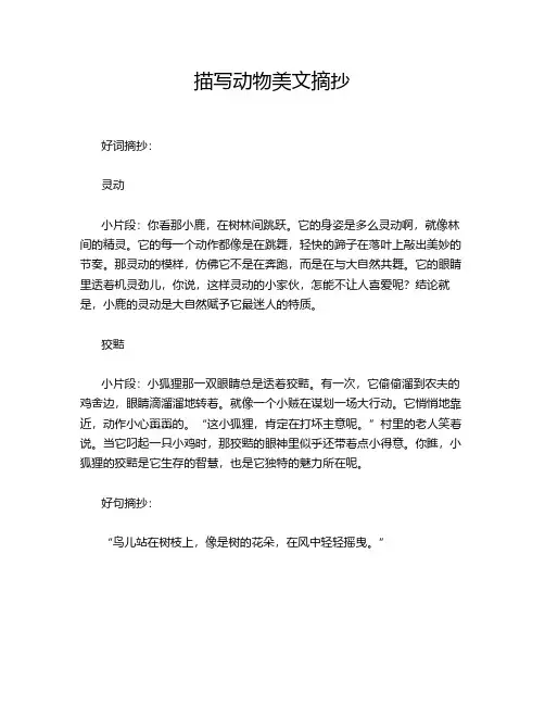 描写动物美文摘抄