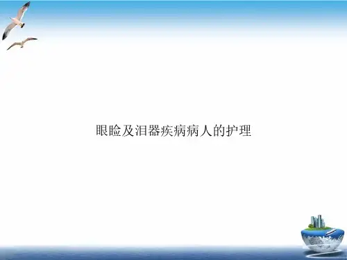 眼睑及泪器疾病病人的护理课件