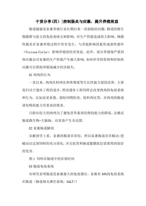 干货分享(四)-控制肠炎与应激,提升养殖效益