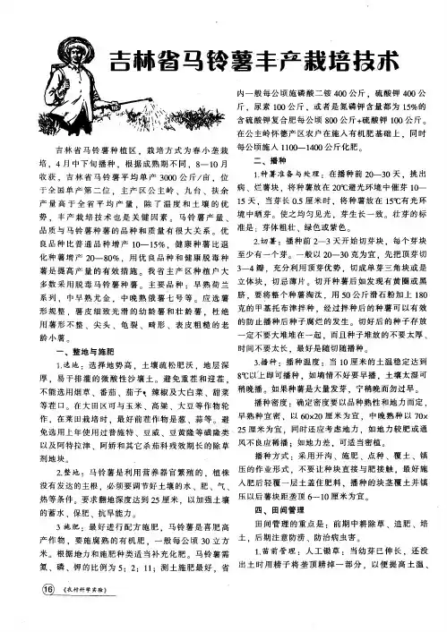 吉林省马铃薯丰产栽培技术