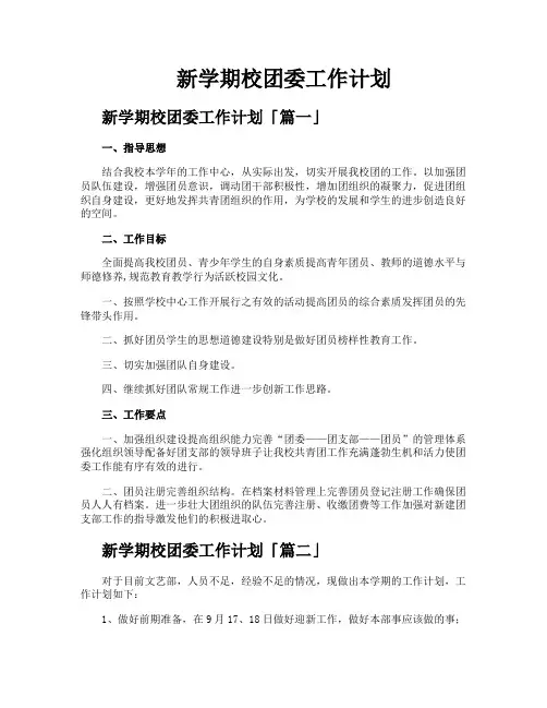 新学期校团委工作计划