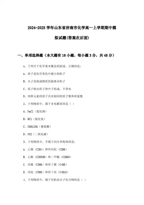 山东省济南市化学高一上学期期中试题及解答参考(2024-2025学年)