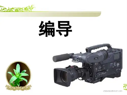 镜头景别