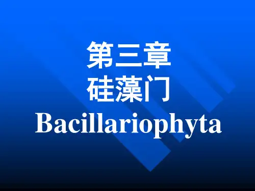 第三章硅藻门