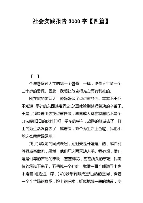 社会实践报告3000字【四篇】