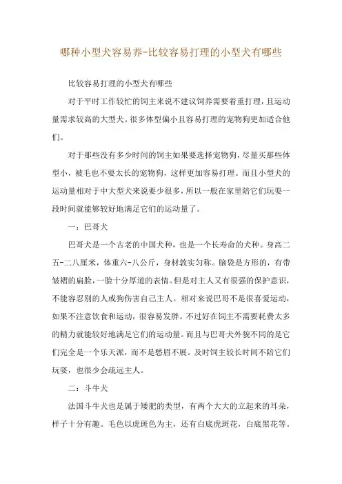 哪种小型犬容易养-比较容易打理的小型犬有哪些