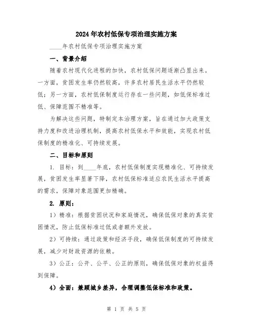 2024年农村低保专项治理实施方案