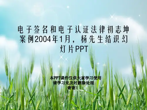 电子签名和电子认证法律初志坤案例2004年1月,杨先生结识幻灯片PPT
