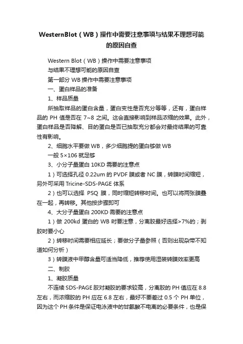WesternBlot（WB）操作中需要注意事项与结果不理想可能的原因自查