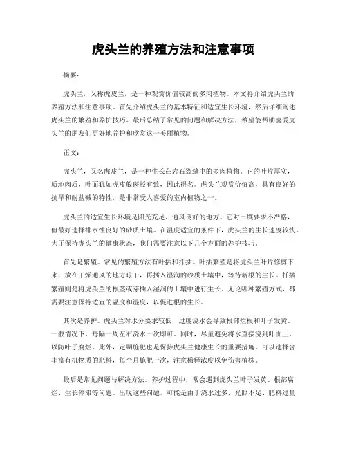 虎头兰的养殖方法和注意事项