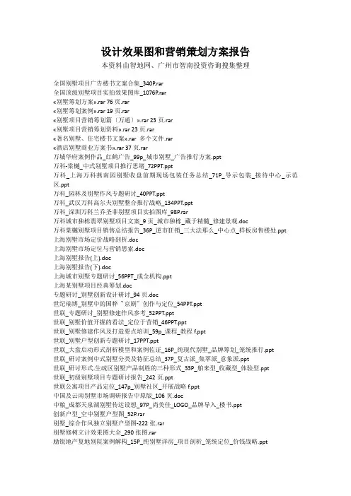 设计效果图和营销策划方案报告