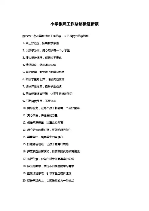 小学教师工作总结标题新颖