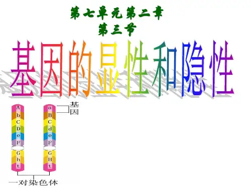 人教版八年级下生物七单元第二章 第三节 基因的显性和隐性课件