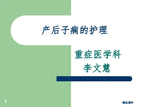 产后子痫的护理ppt课件