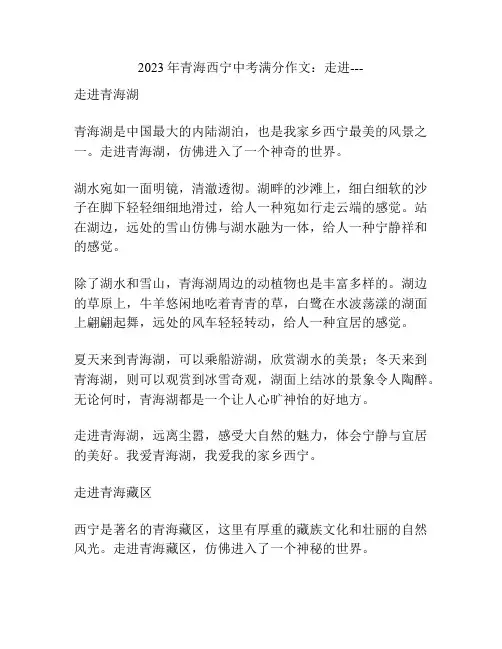 2023年青海西宁中考满分作文：走进---