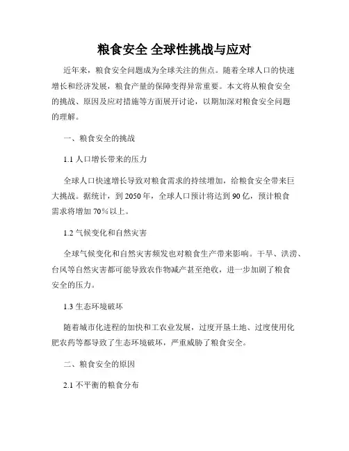 粮食安全 全球性挑战与应对
