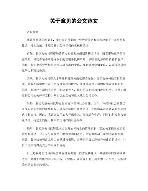 关于意见的公文范文