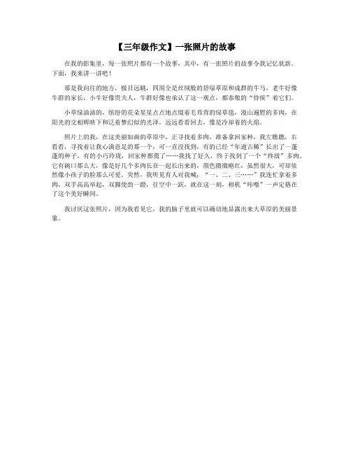 【三年级作文】一张照片的故事