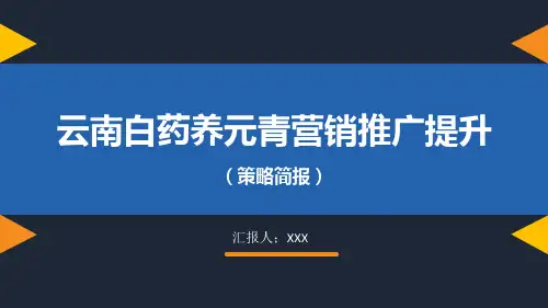 云南白药养元青推广PPT