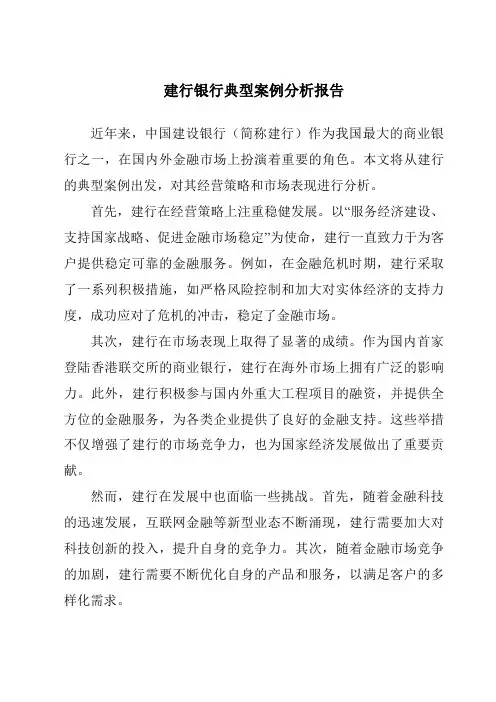 建行银行典型案例分析报告