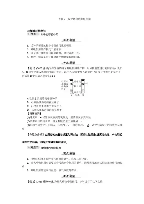 专题4 探究植物的呼吸作用