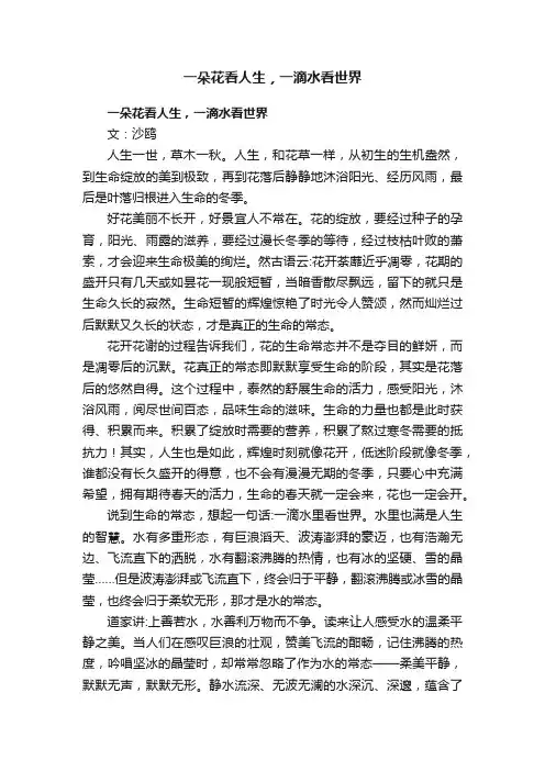 一朵花看人生，一滴水看世界