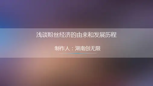 粉丝经济ppt课件