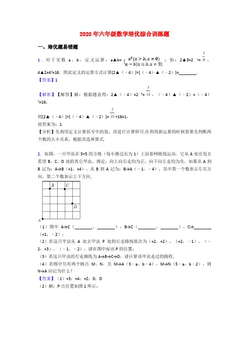 2020年六年级数学培优综合训练题