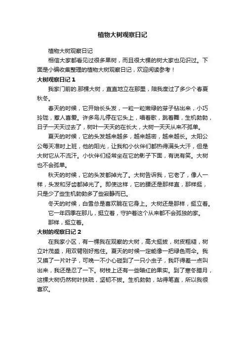 植物大树观察日记