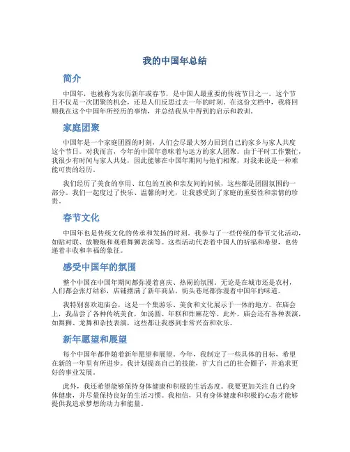 我的中国年总结