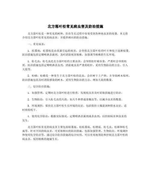 北方落叶松常见病虫害及防治措施