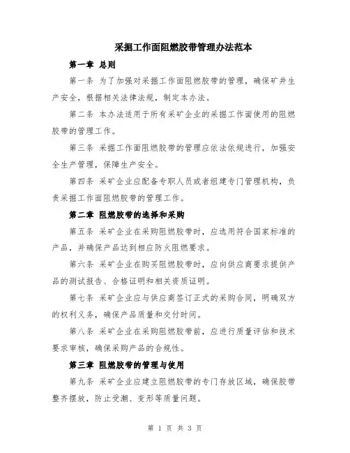 采掘工作面阻燃胶带管理办法范本
