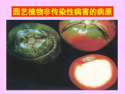 非侵染性病害病原ppt课件