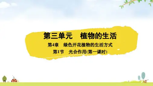 北师大版七年级生物上册第三单元植物的生活第4章绿色开花植物的生活方式光合作用(第三课时)课件