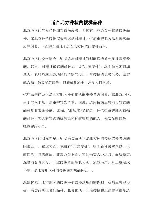 适合北方种植的樱桃品种