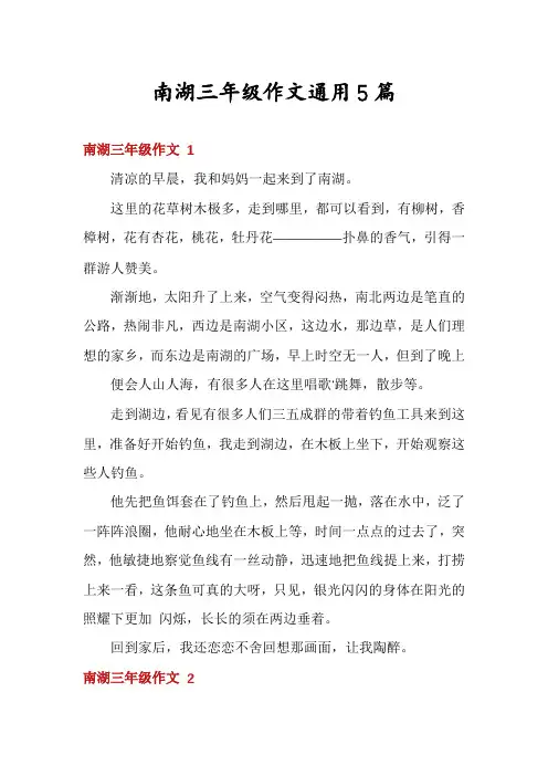 南湖三年级作文通用5篇