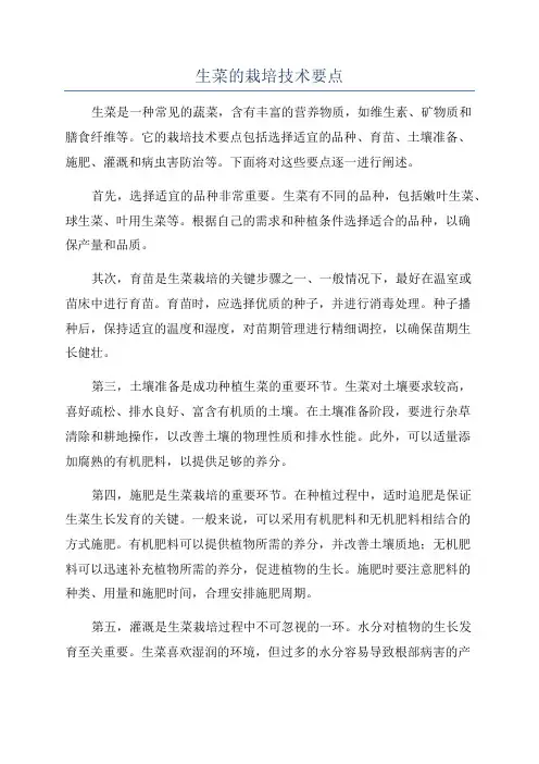生菜的栽培技术要点