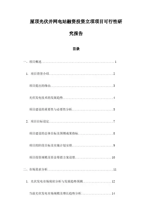 屋顶光伏并网电站融资投资立项项目可行性研究报告