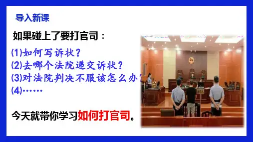 高中政治统编版选择性必修二10.2严格遵守诉讼程序(共23张ppt)