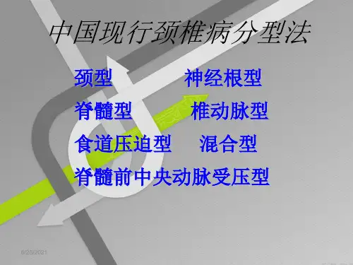 神经根性颈椎病PPT课件