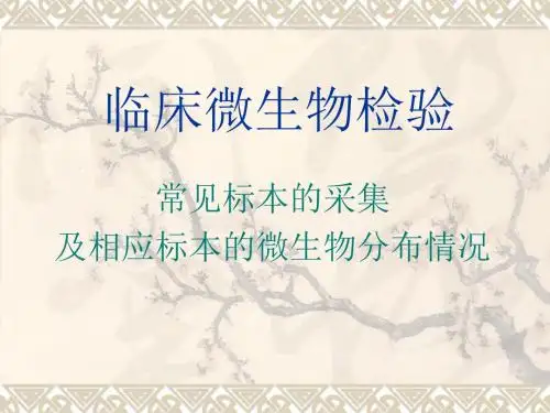 常见标本的采集及相应标本的微生物分布情况