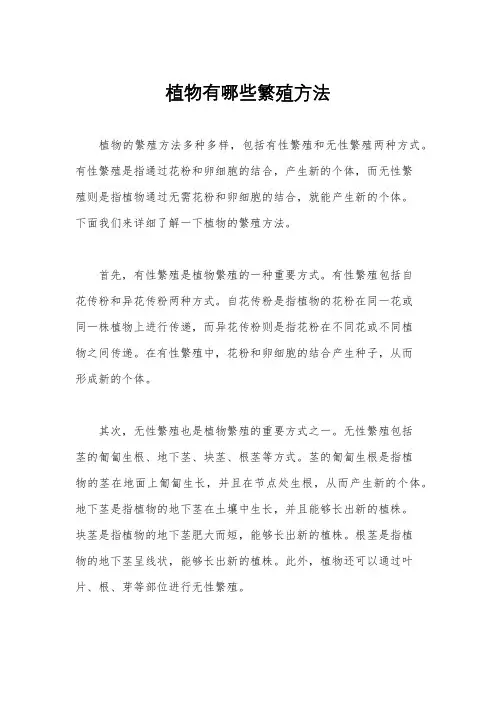 植物有哪些繁殖方法