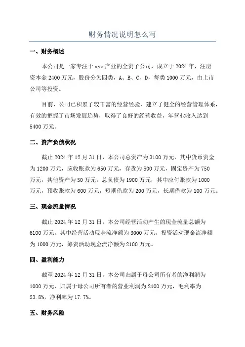 财务情况说明怎么写