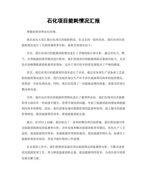 石化项目能耗情况汇报
