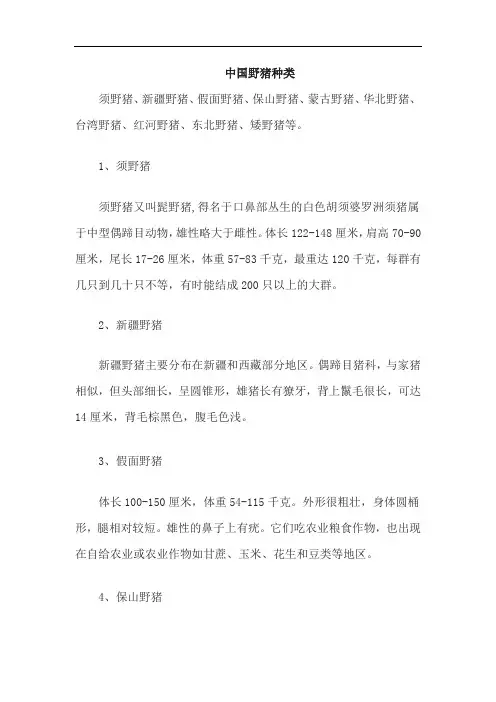 中国野猪种类