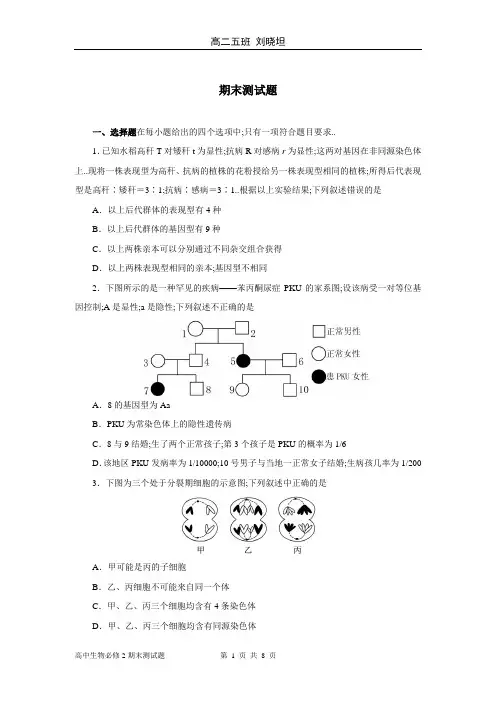 高中生物必修2综合测试题(附答案)