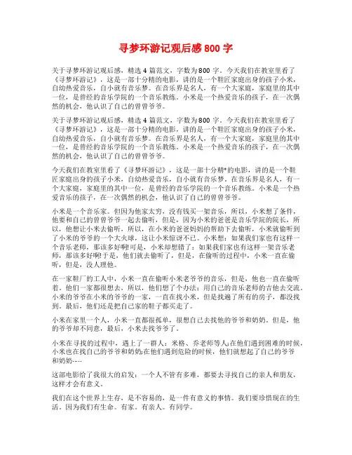 寻梦环游记观后感800字