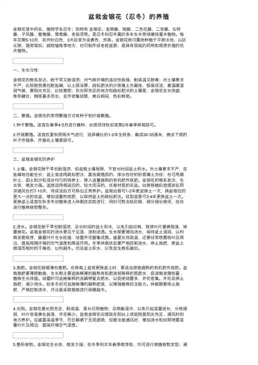 盆栽金银花（忍冬）的养殖